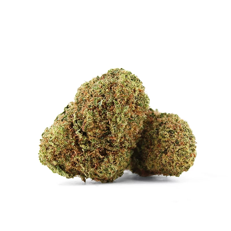White Widow, Indoor
