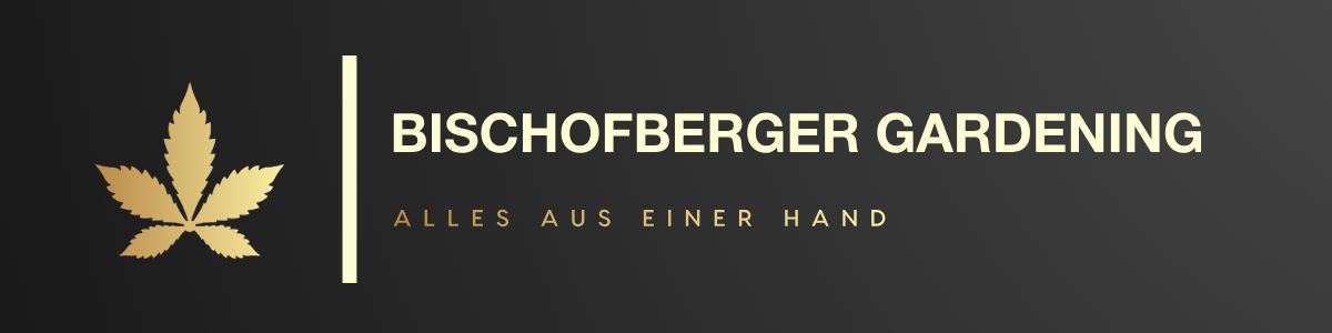 Zur Startseite gehen