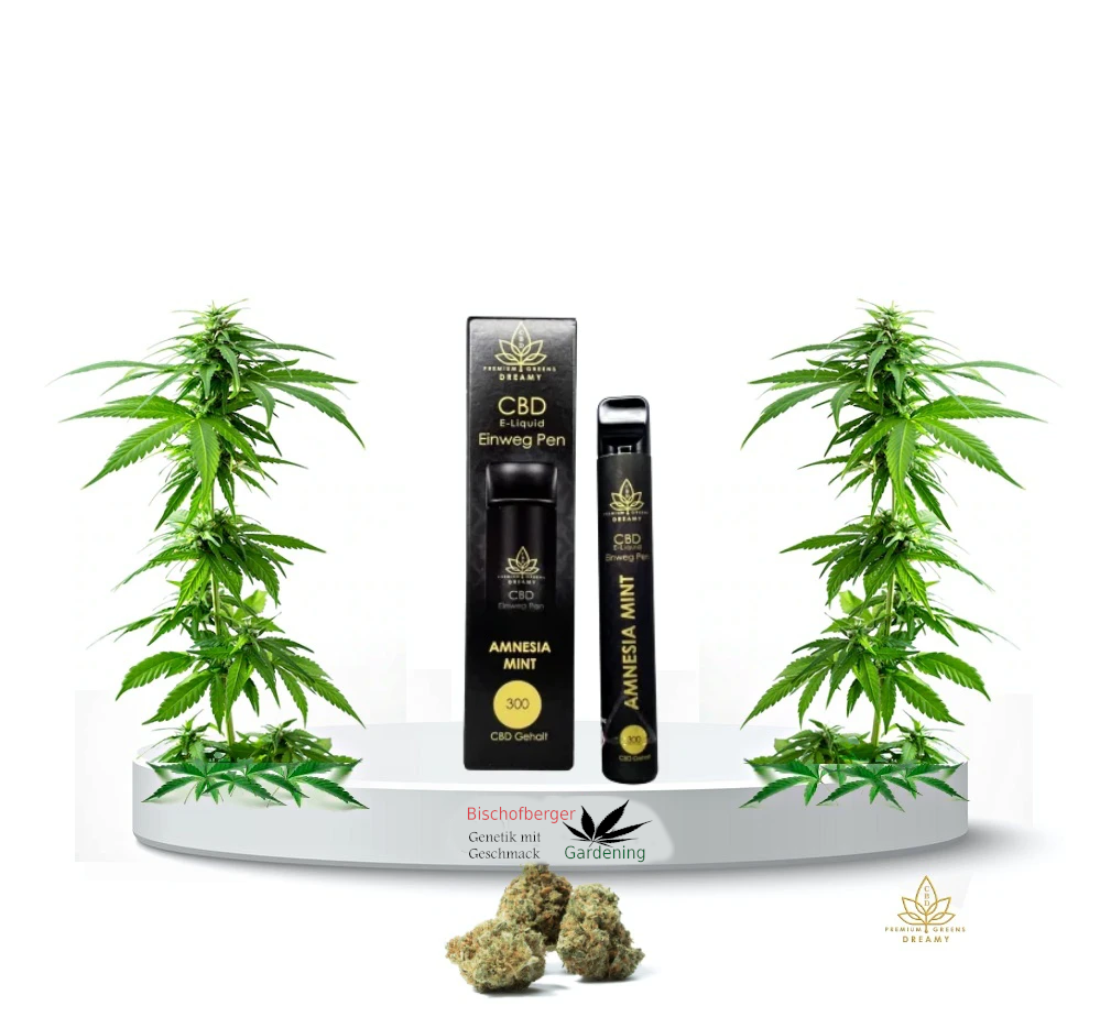 Dreamy CBD Vape - Amnesia Mint, mit Airflow Dreamy CBD Vape - Amnesia Mint, mit Airflow