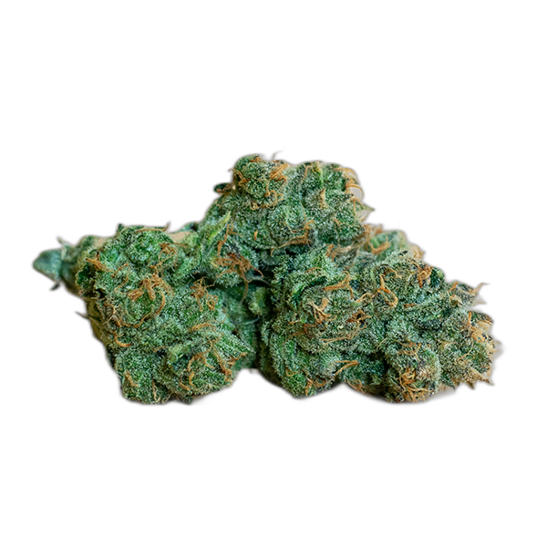 Blueberry, Indoor Blueberry, Indoor