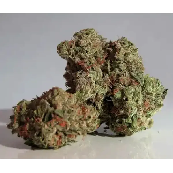 Runtz, Indoor Runtz, Indoor